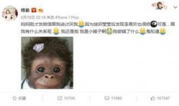 杨紫微博最新爆料事件,揭秘娱乐圈幕后真相