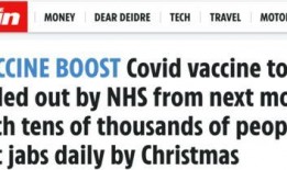 辉瑞最新爆料新闻报道,揭秘疫苗研发过程中的关键细节