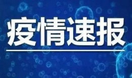 山东临沂爆料最新消息视频,视频揭示惊人事件！