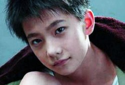 杨洋最新 爆料事件新闻,揭秘背后真相与影响