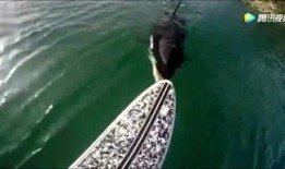 死水最新爆料新闻,最新爆料揭露惊人内幕